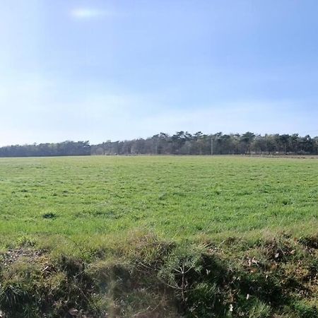Kindvriendelijke Bungalow In Het Bos Bij Zwemmeer. Vilsteren Экстерьер фото