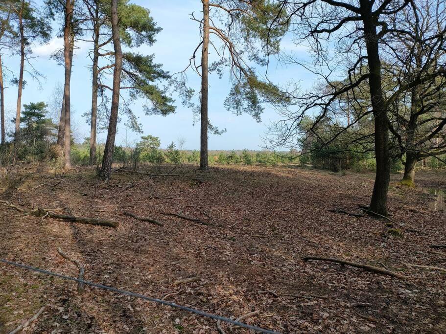 Kindvriendelijke Bungalow In Het Bos Bij Zwemmeer. Vilsteren Экстерьер фото