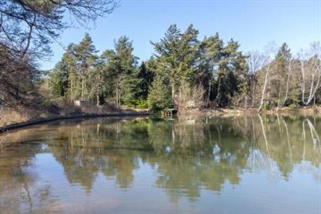 Kindvriendelijke Bungalow In Het Bos Bij Zwemmeer. Vilsteren Экстерьер фото