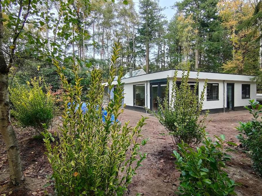 Kindvriendelijke Bungalow In Het Bos Bij Zwemmeer. Vilsteren Экстерьер фото