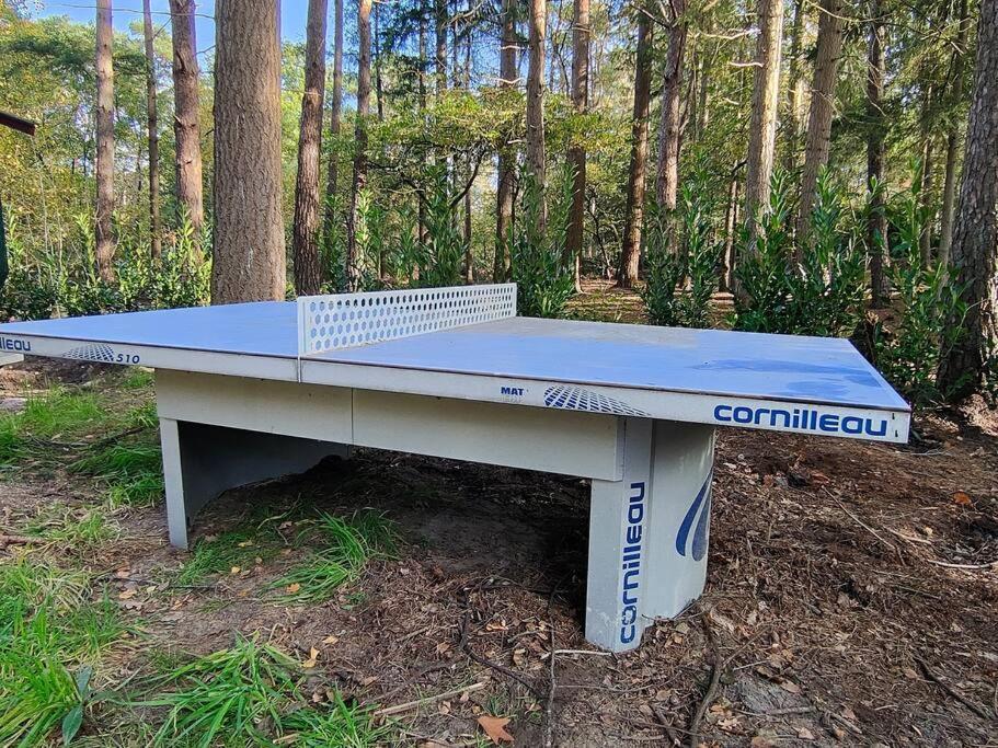 Kindvriendelijke Bungalow In Het Bos Bij Zwemmeer. Vilsteren Экстерьер фото