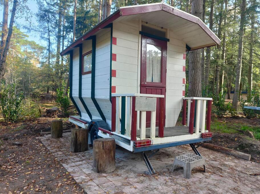 Kindvriendelijke Bungalow In Het Bos Bij Zwemmeer. Vilsteren Экстерьер фото